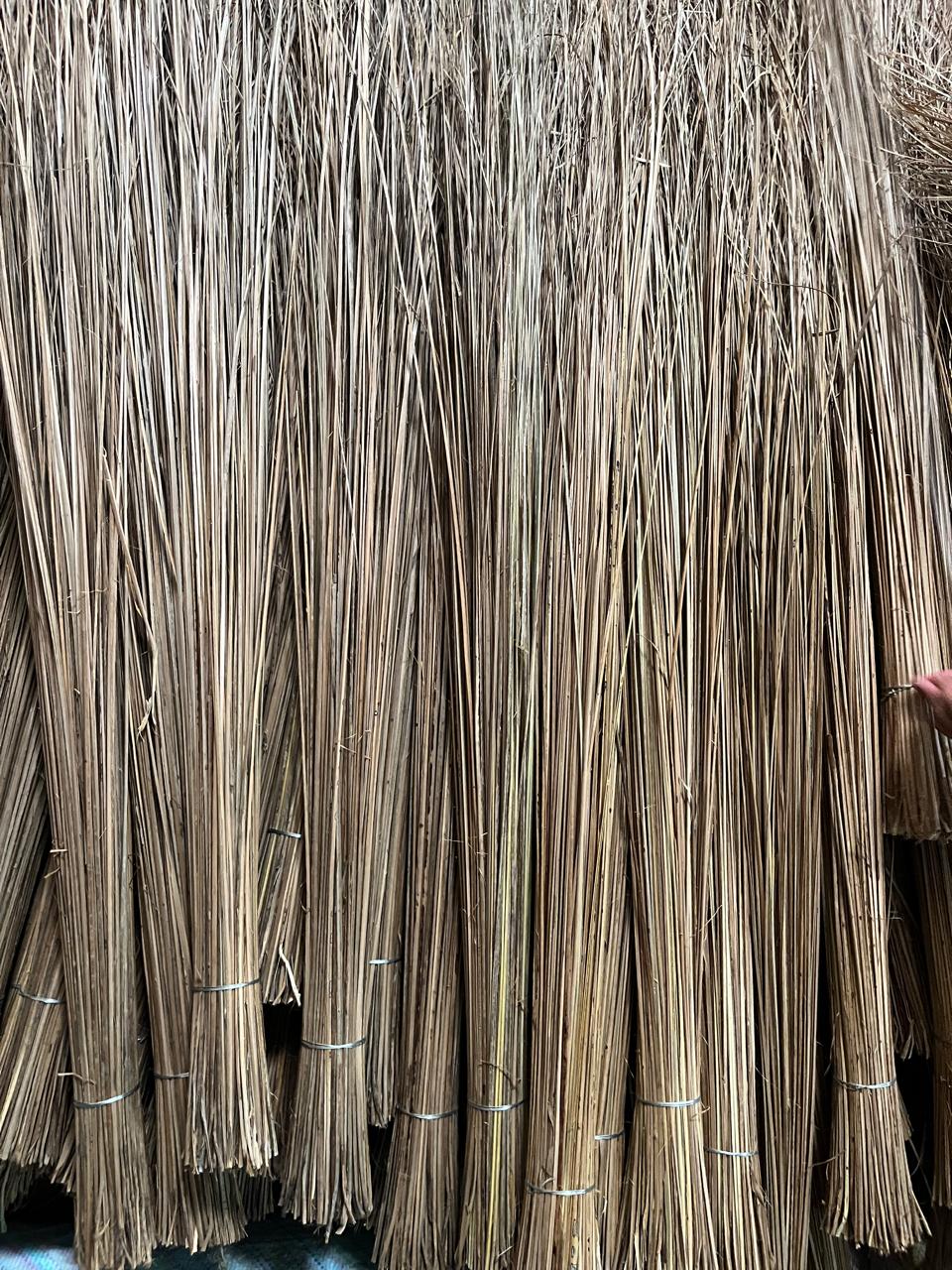Teeli Nariyal Jhadu